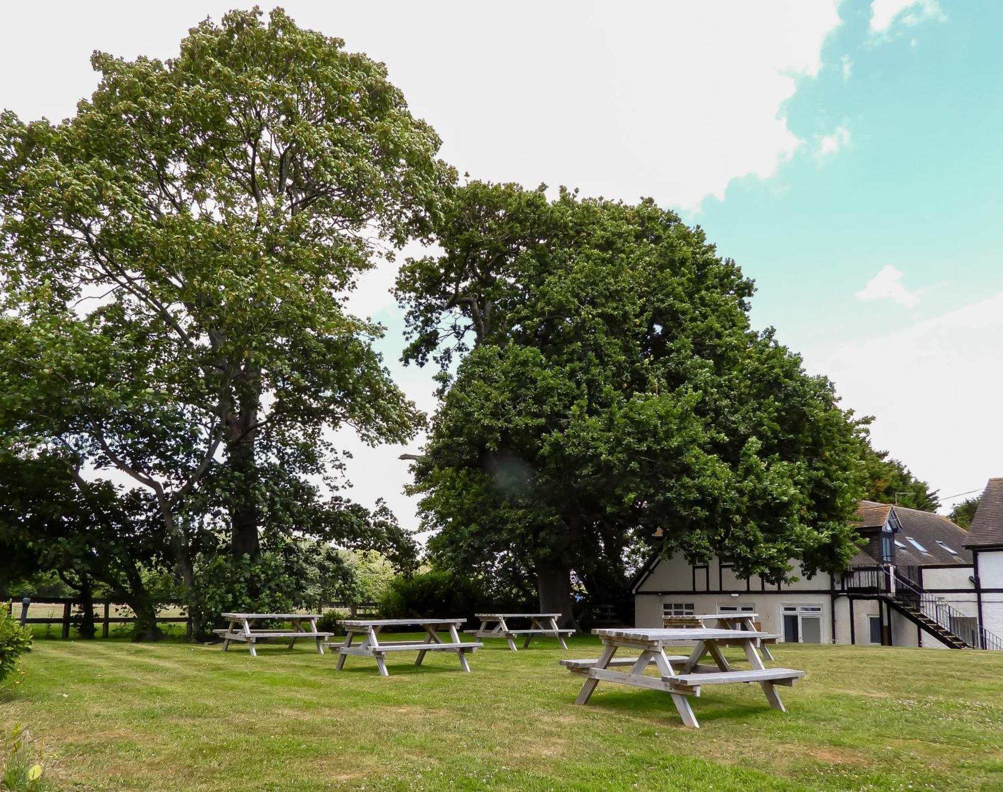 South Lawn